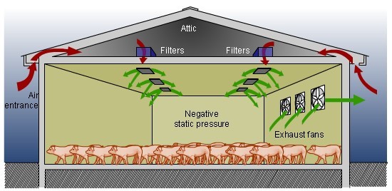 Basic types of ventilation in swine barns