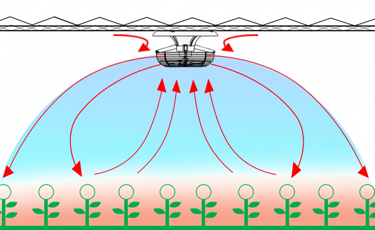 Vertical Fans